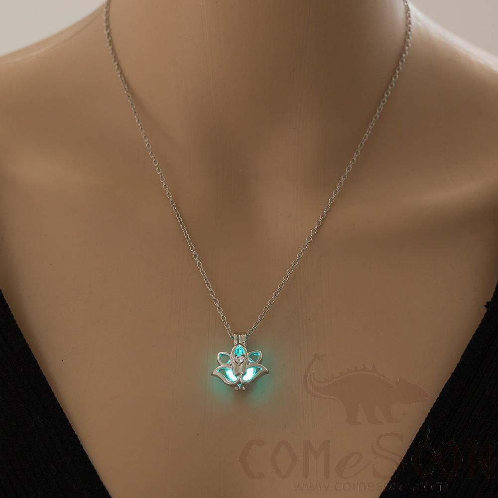 Necklace / Jewelry           NY760
