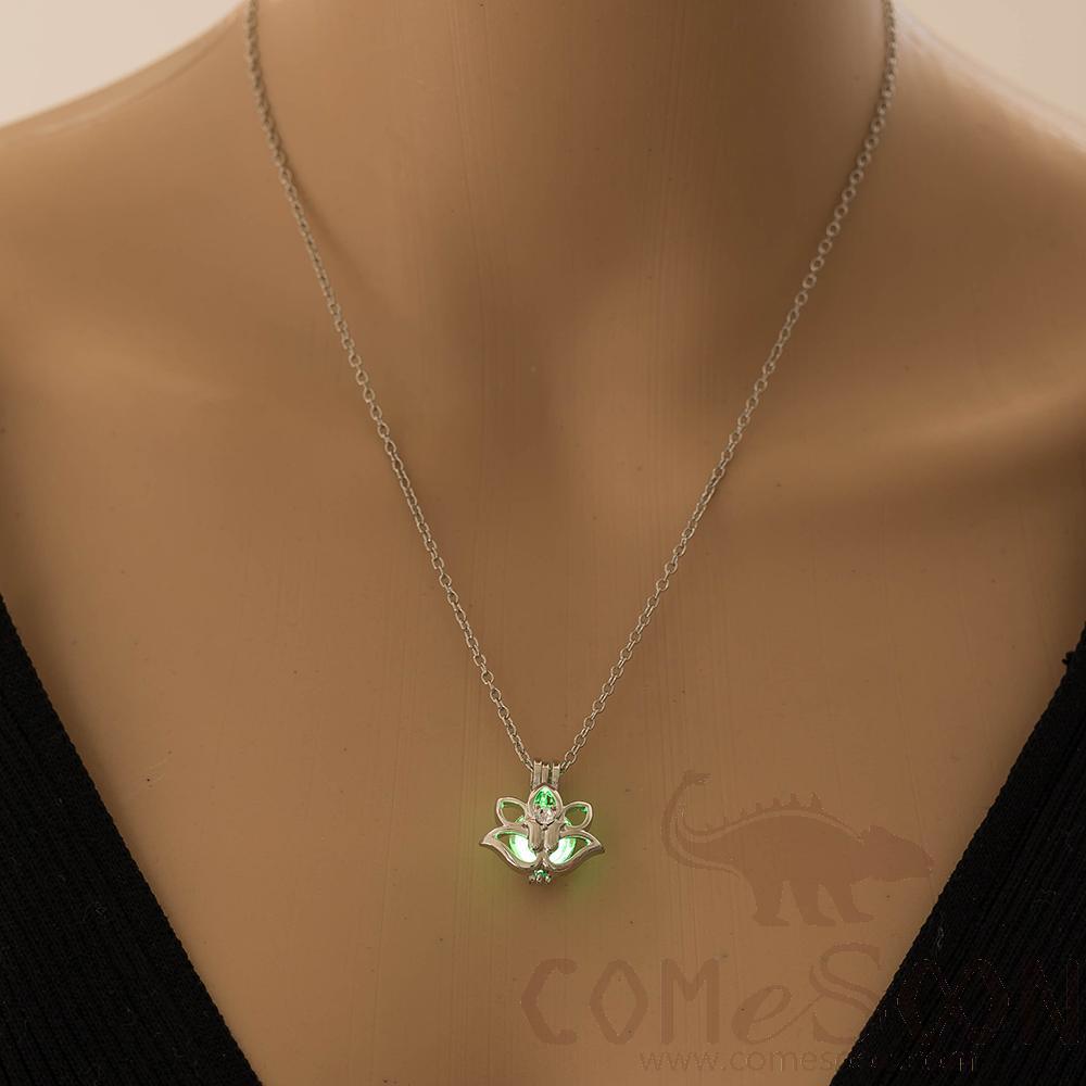 Necklace / Jewelry           NY762