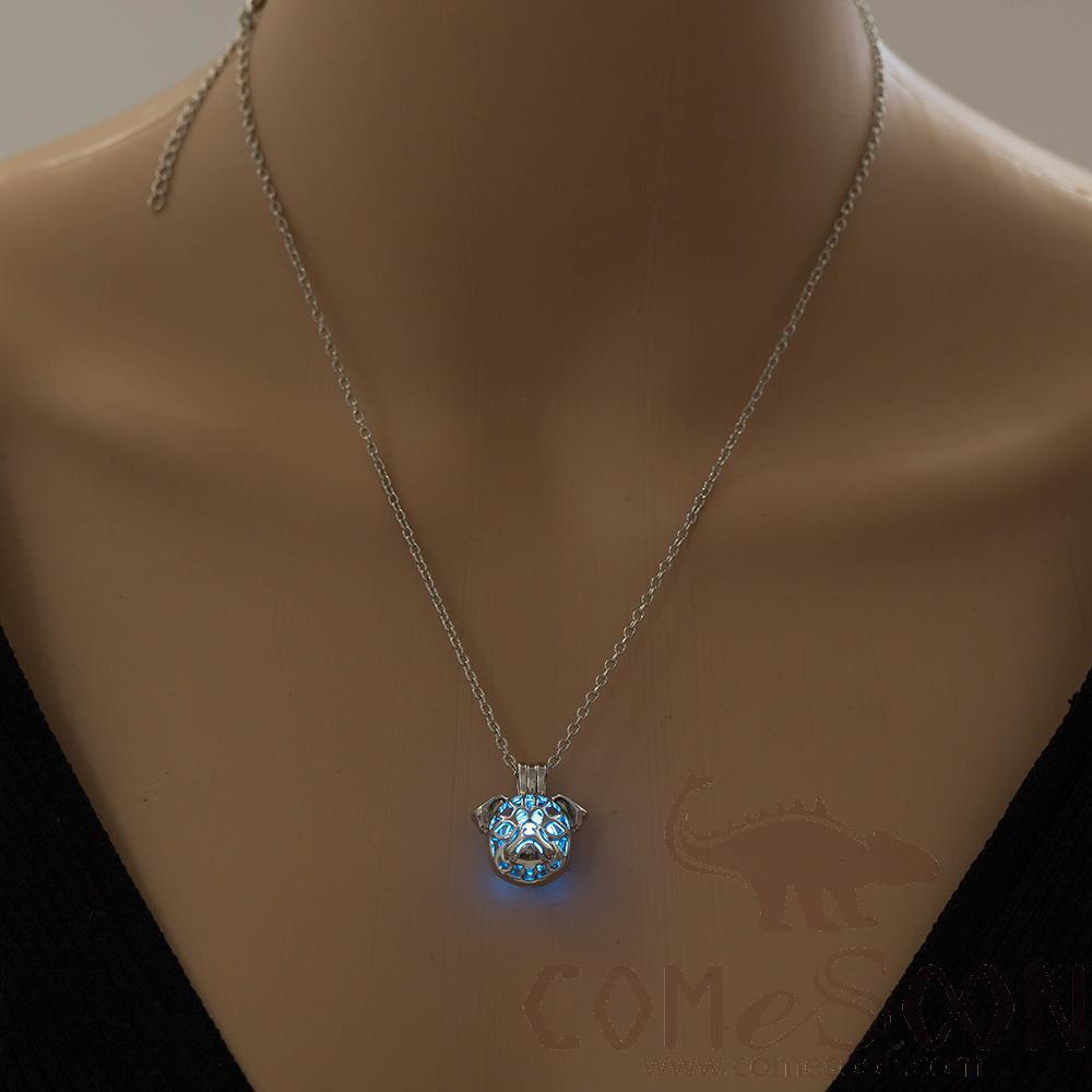 Necklace / Jewelry           NY764