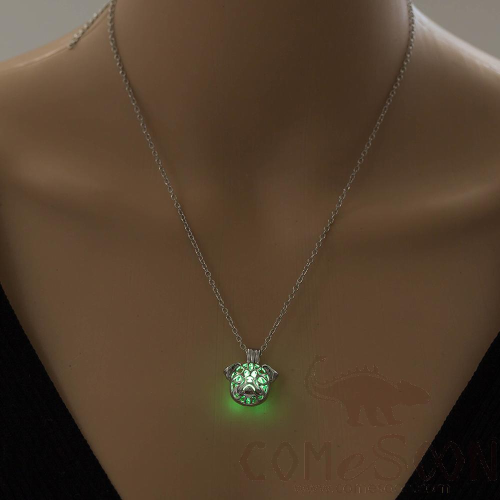 Necklace / Jewelry           NY765