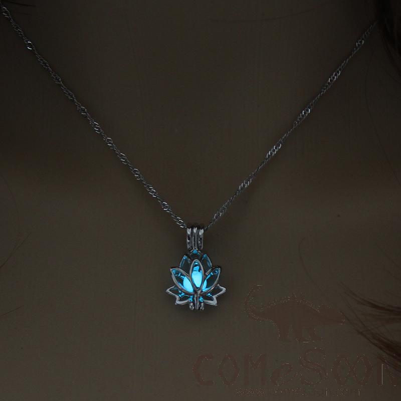 Necklace / Jewelry           NY055