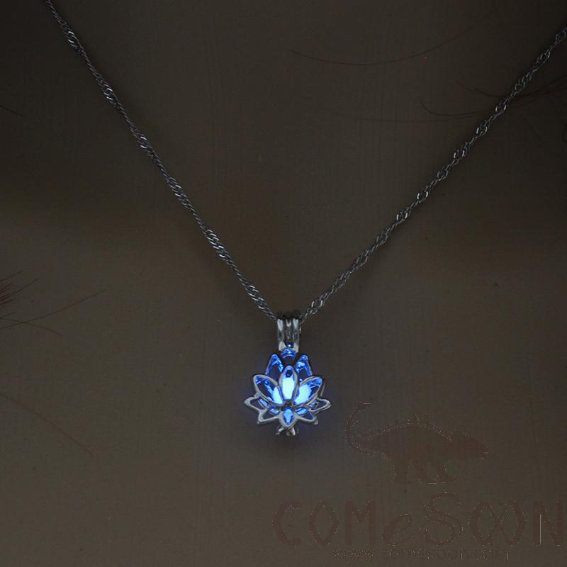 Necklace / Jewelry           NY056