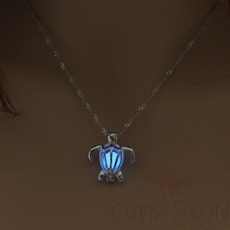 Necklace / Jewelry           NY091