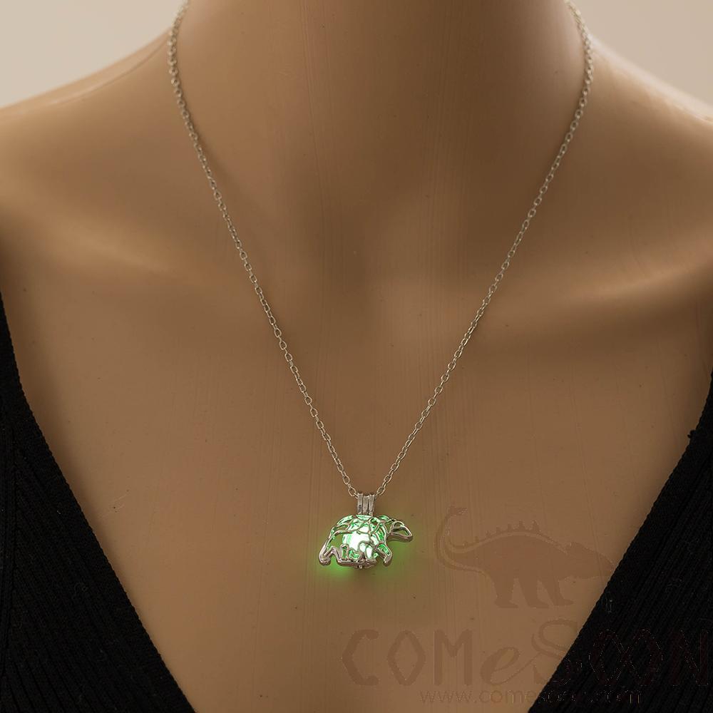 Necklace / Jewelry           NY467