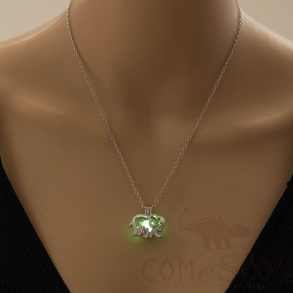 Necklace / Jewelry           NY470