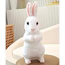 Bunny Doll
，Soft And Plush，30CM