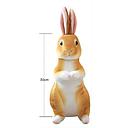 Bunny Doll
，Soft And Plush，30CM