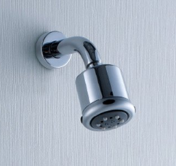 Wall Mounted Shower