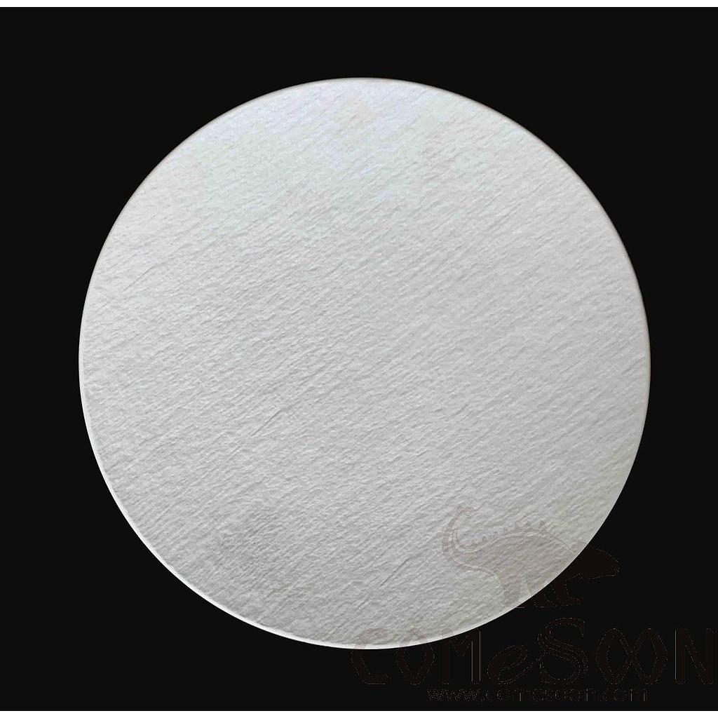 20118 Series 10.5&quot; Shallow Plate - Matt White