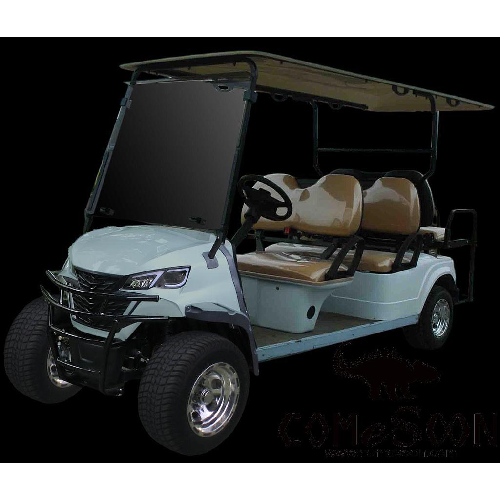 Electric Sightseeing Cart, 5KW, 48V, 185W, 75km, Max Climbing Ability (Loaded) 25%, 6 Seater