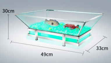 Glass LED Lamp Ice Tray, 49*33*30cm