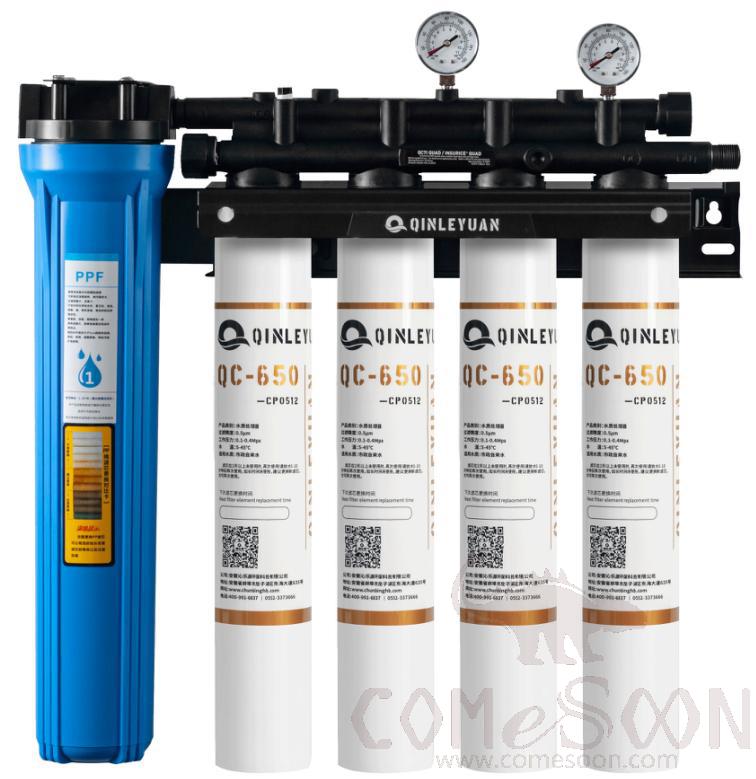 QLY-QC950 Dual Head Water Purifier