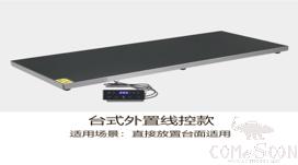 Tabletop External Wire Temperature-Controlled Warming Tray, 220V/250W, 80*30cm / 81*31cm