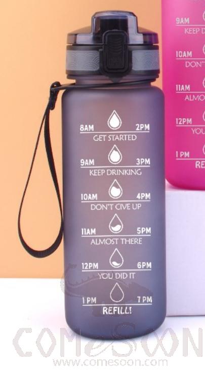 Palstic Water Bottle Grey 700ml