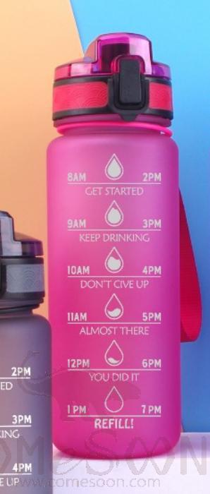 Palstic Water Bottle Pink 700ml