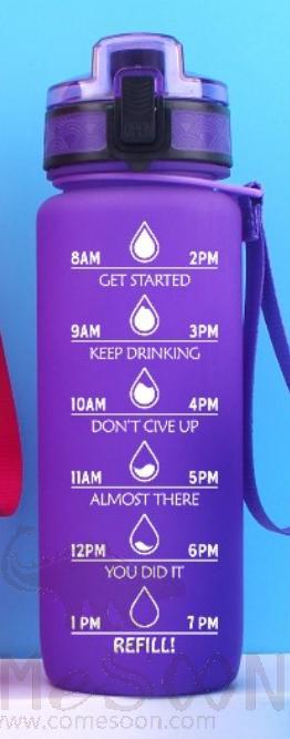 Palstic Water Bottle Purple 700ml