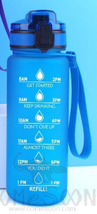 Palstic Water Bottle Blue 700ml