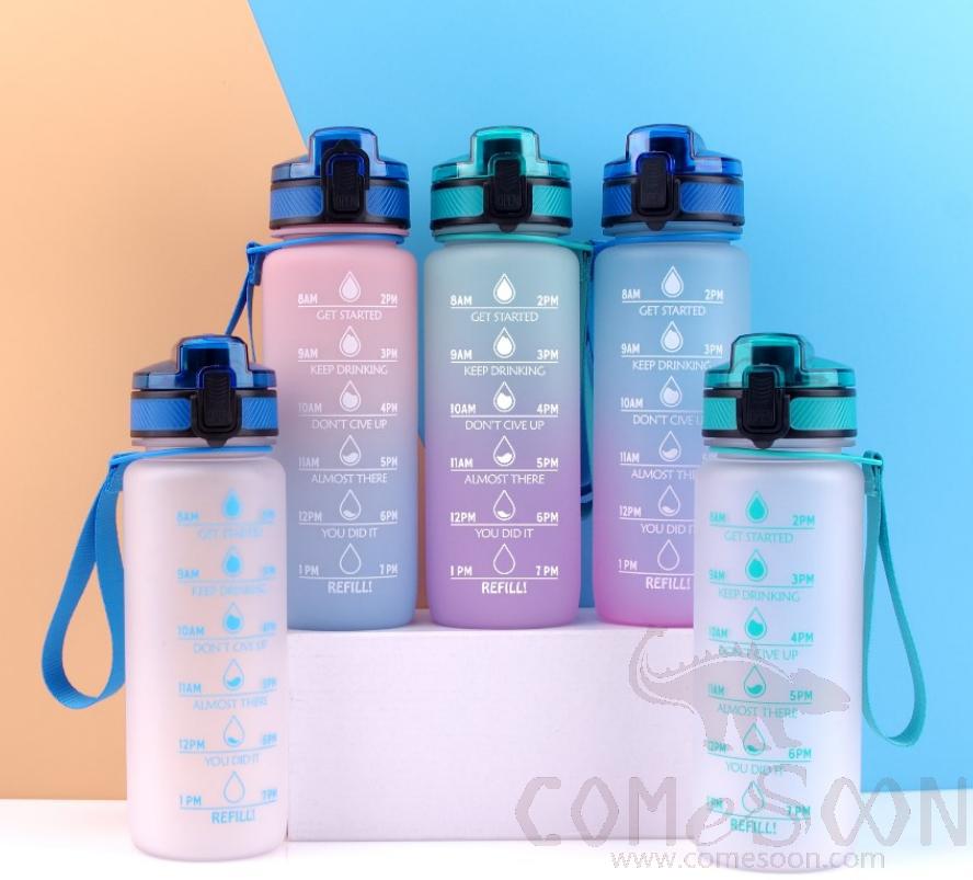 Palstic Water Bottle 550ml