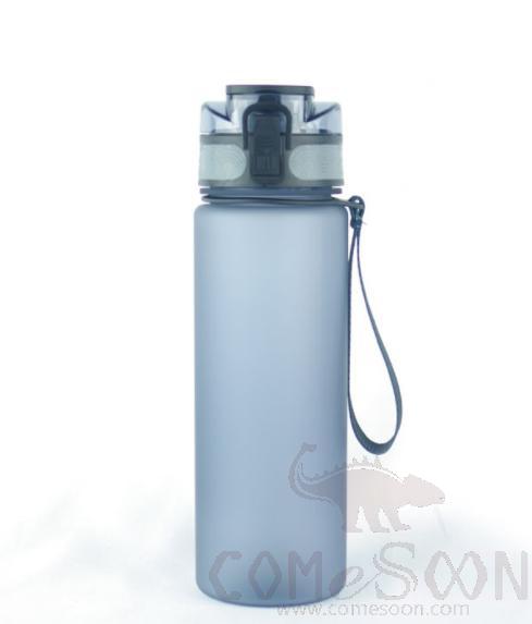 Palstic Water Bottle Grey, 700ml