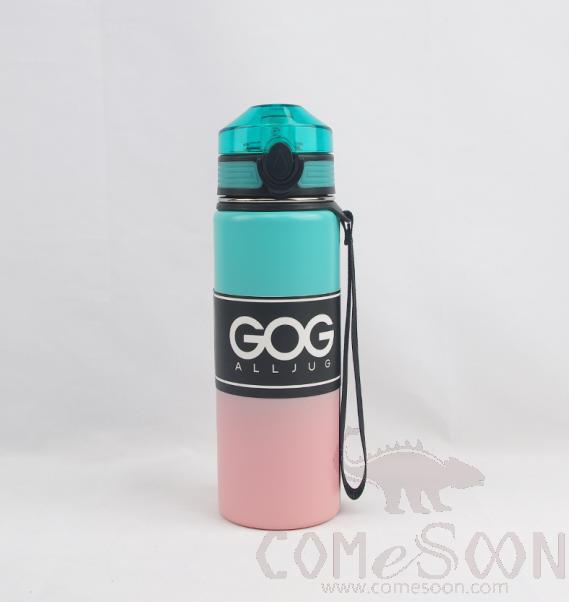 SUS 304 Water Bottle 540ml