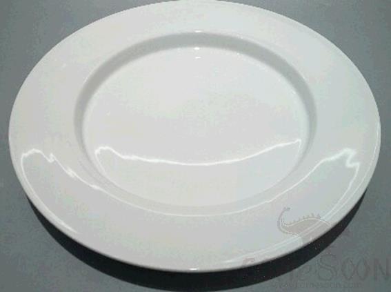 Atlas Series - 10.5&quot; Flat Plate