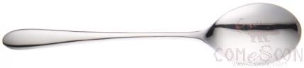 STJOY Series-Table Spoon，199mm，stainless steel 304