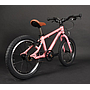 Children's Bicycles-16 inch