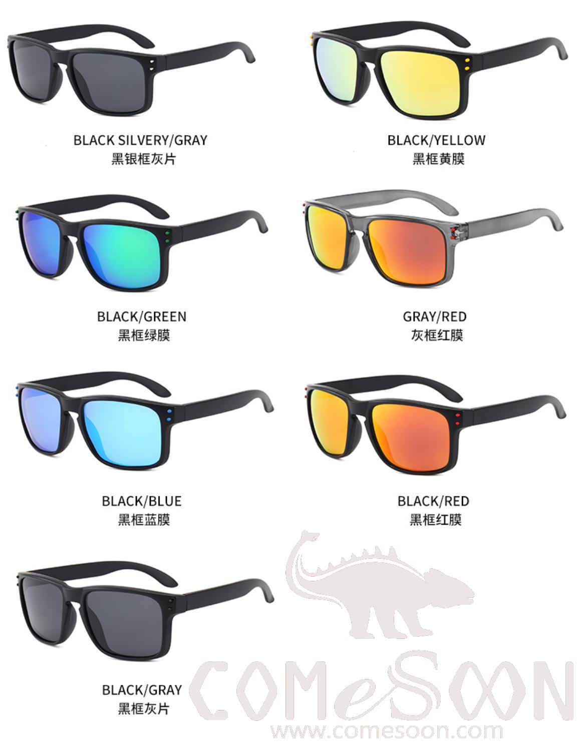 Sunglasses (for men)