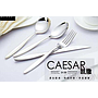 STCaesar Series-Table Fork