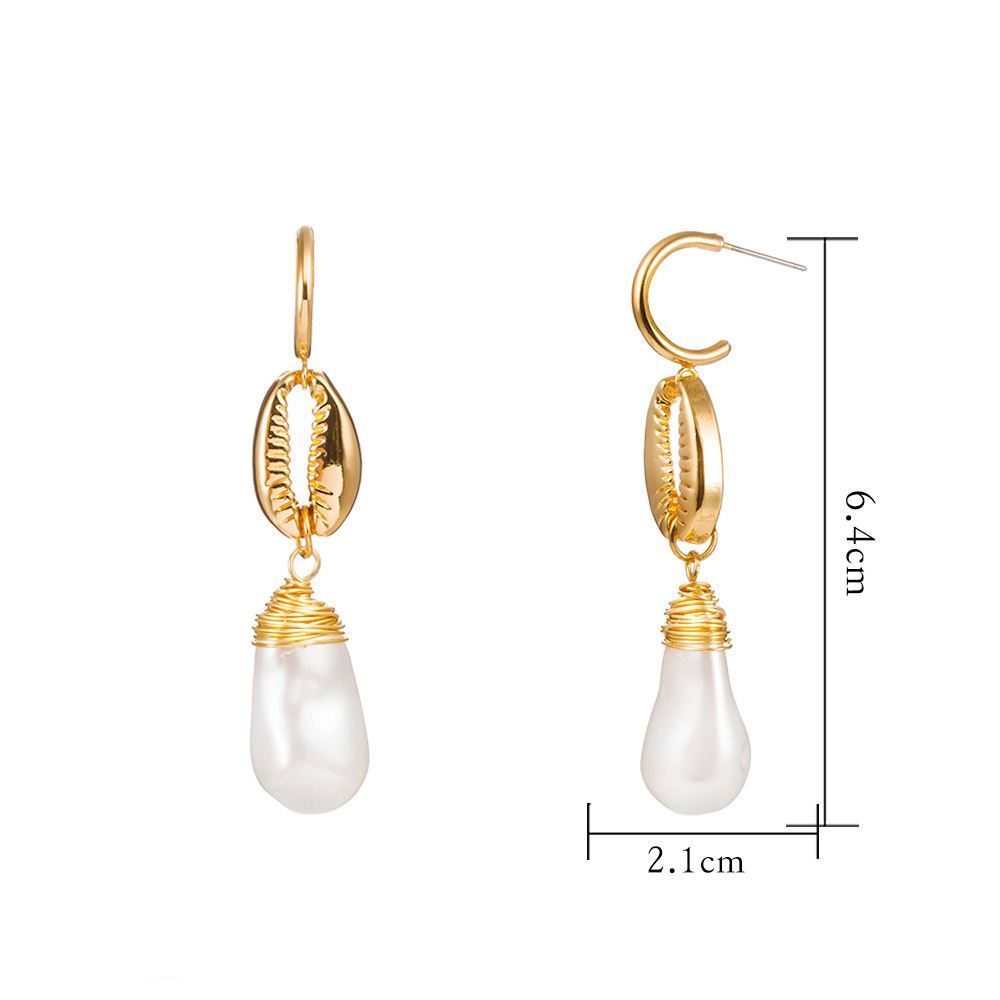 Earring / Dangler / Eardrop / Jewelry  NE307