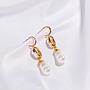 Earring / Dangler / Eardrop / Jewelry  NE307