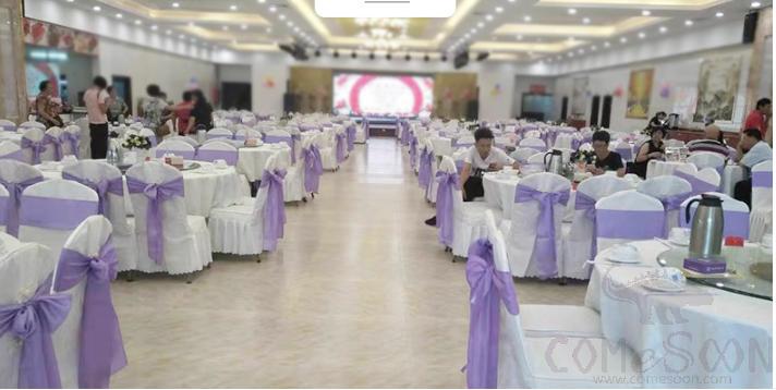 Chair Cover Band,Pink,14*275Cm