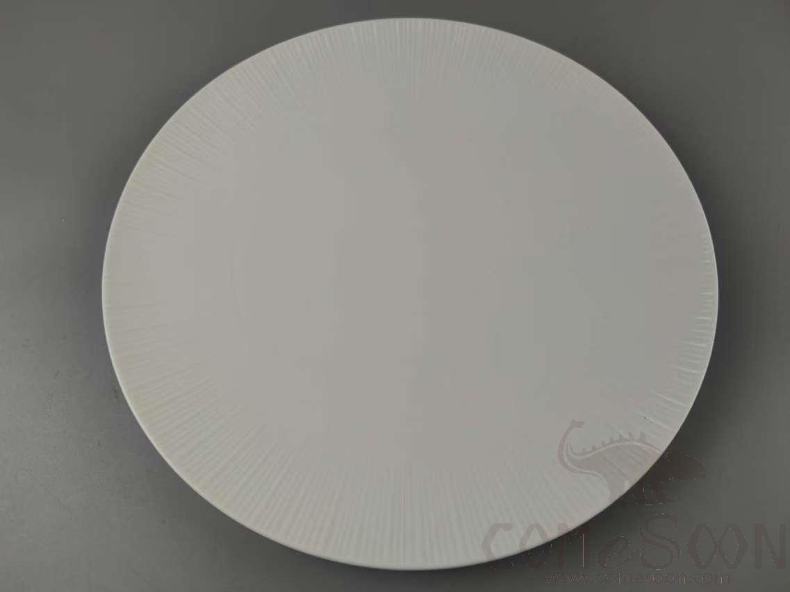 G099 Series 11.5&quot; Round Plate - White
