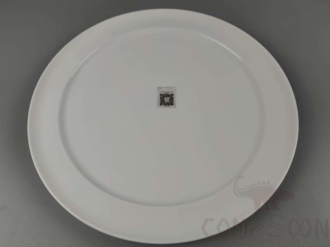 G161 Series 13&quot; Shark's Fin Plate