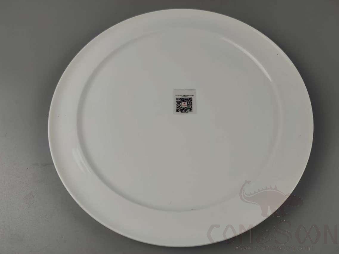 G161 Series 11 &quot;Abalone Shark's Fin Plate