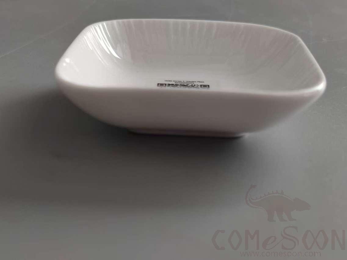 G099 Series 3 &quot;Flavor Plate - White