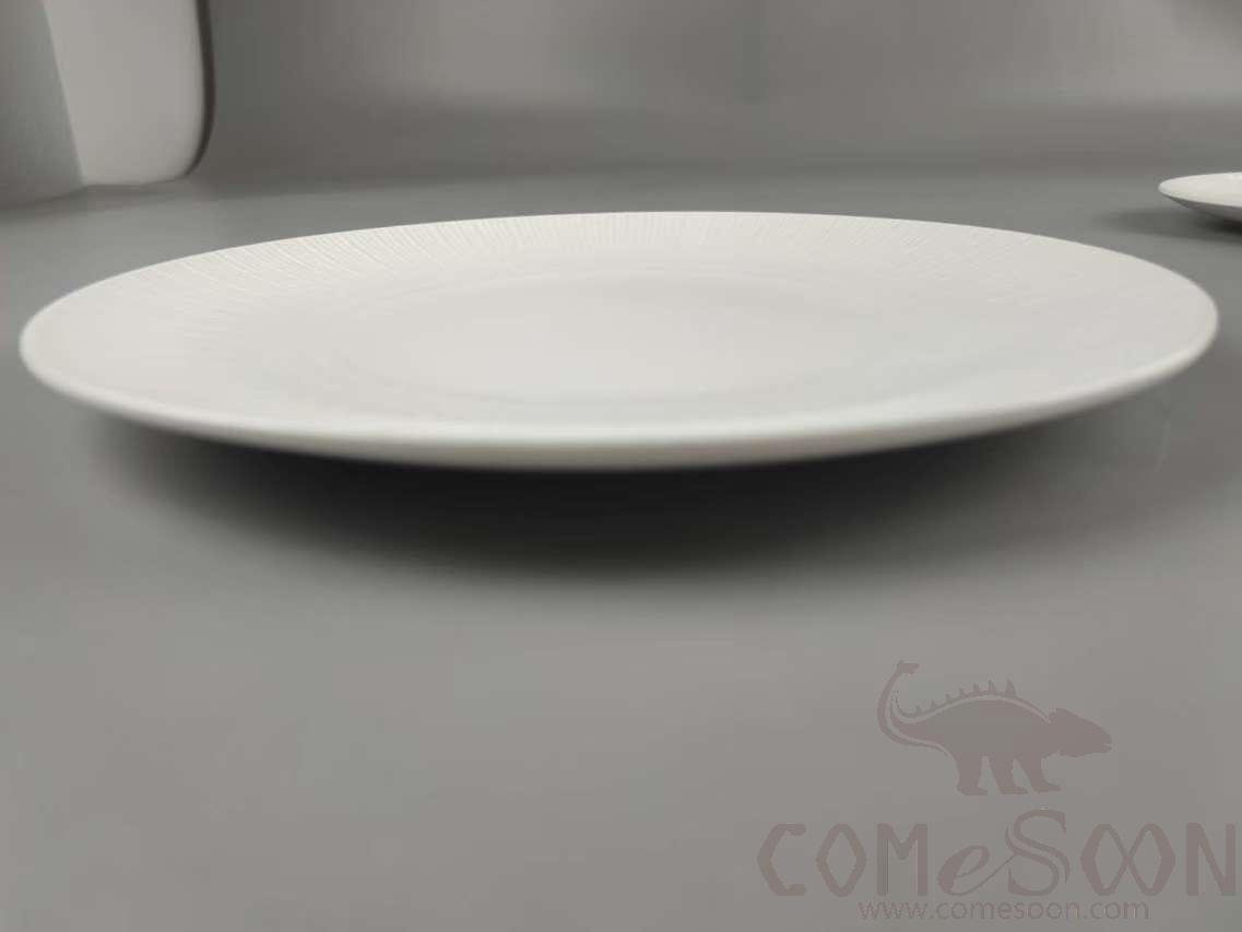 G099 Series 11.5&quot; Round Plate - White