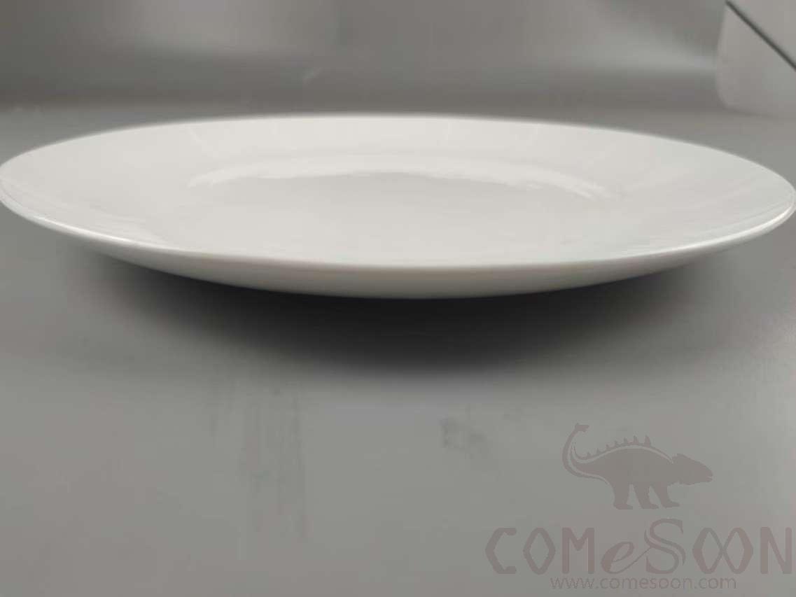 G099 Series 13.75&quot; Round Plate - White