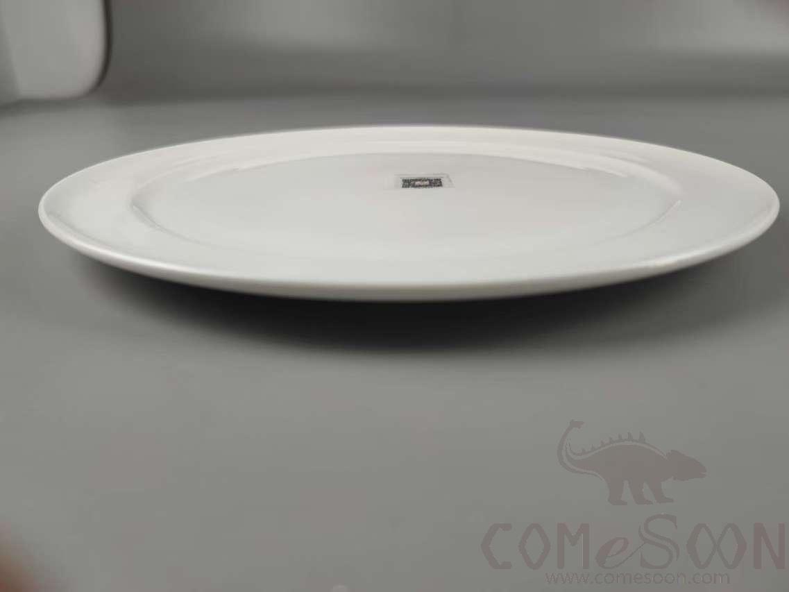 G161 Series 11 &quot;Abalone Shark's Fin Plate