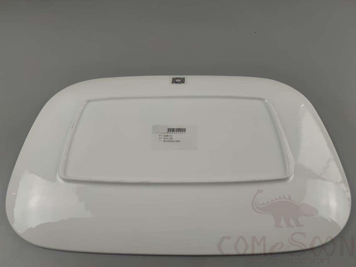 G099 Series 14&quot; Rectangular Plate - White