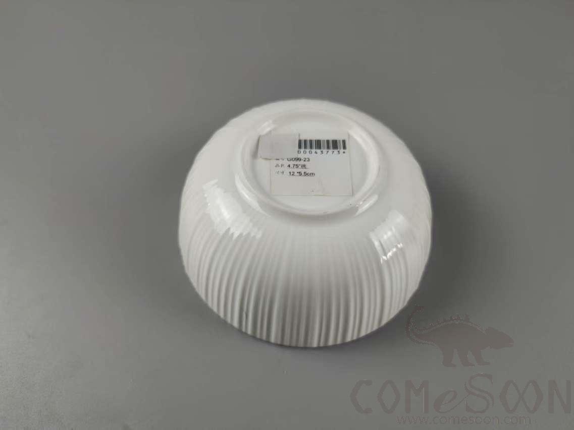 G099 Series 4.75&quot; Bowl - White