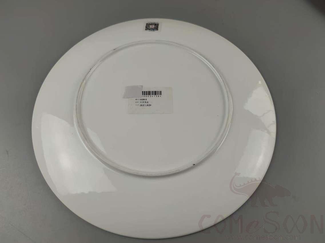 G099 Series 11.5&quot; Round Plate - White